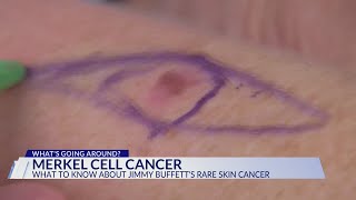 What is Merkel cell carcinoma?