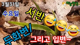 [4K ]#하늘양식#난초산행#한국춘란#두화변#입변#서반#난초#산행