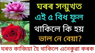 ঘৰৰ সন্মুখত এই ৫ বিধ ফুল থাকিলে কি হয়||ভাল নে বেয়া||ঘৰত সঘনাই কাজিয়া হৈ থাকিলে এনেকুৱা কৰক