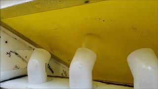 Solids screening, solid liquid separation, wastewater screening, separating liquids from solids