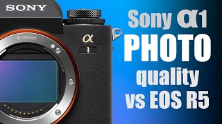 Sony Alpha 1 PHOTO quality vs Canon EOS R5 review