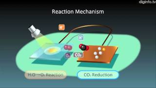 Artificial Photosynthesis System as efficient as plants and can reduce CO2 levels #ipnexus