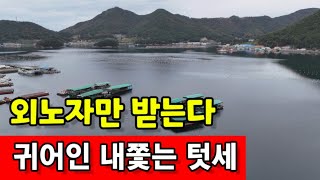 젊은 귀어인 내쫓는 어촌텃세 ☆ 외노자만 받다가 노인과 바다뿐