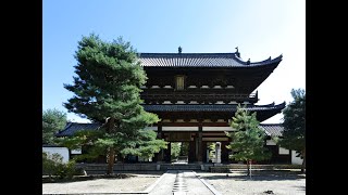 令和２年 京都府宇治市にある京都七福神まいりの萬福寺に行ってきた！(kyoto manfukuji Buddhist temple)