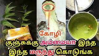 குஞ்சு கோழிக்கு அம்மை நோய் குணமாக எளிய மருந்து | Medicine to cure pox affected chicken