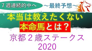 【京都２歳ステークス2020】最終予想　次元が違う本命馬　ジャパンカップ2020の軍資金に　本命馬はあの馬・・・　ラーゴム　バスラットレオン　グロリアンムンディ　グラティトゥー　ワンダフルタウン