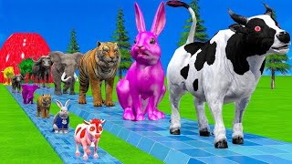 #.#   Epic Animation+       Funny Horror Anima*         #Animation cartoon   #Ofis #Animal TV#*