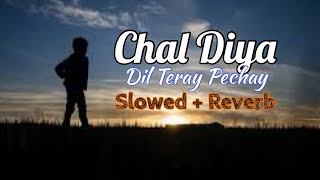 Chal Diya Dill Teray Pechay Pechay  Slowed + Reverb version #slowedreverb #chaldiya