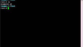 BASH-intro.avi