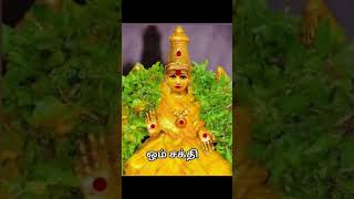 அம்மன் மடியில் வைத்த எலுமிச்சை பழம் சொல்லும் சகுனம் #ammansongsdevotionaltamil #astrology