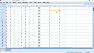 SPSS - Identifying Duplicates