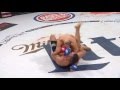 Bellator MMA: What to Watch | Karakhanyan vs Weichel