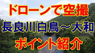 令和3年いよいよ郡上漁協管内鮎釣り解禁！白鳥地区下流から大和地区上流部のポイントを紹介