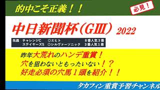 【タカフィン競馬重賞予習】中日新聞杯2022好走不可避の厳選1頭を紹介します！