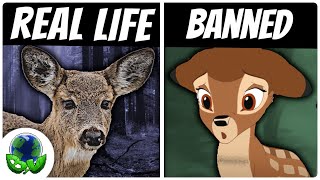 Bambi was BANNED in Germany. This is Why