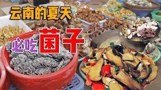 【云南美食】一念美味，一念见鬼？！云南这种顶级山珍你吃过没？夏天来到云南，不尝尝这种鲜到极致的料理那就算白来啦！