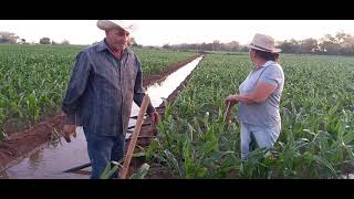 El primer riego del maiz, asi pone pipas doña Ramona