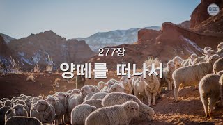 [새찬송가] 277장 양떼를 떠나서