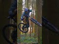 weightless – rotwild r.e375 level up mtb downhill ebike