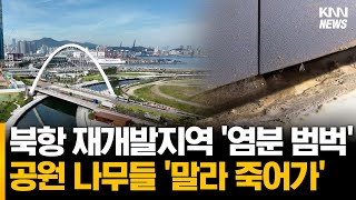 북항 재개발지역 '바닷물 침수 조사' 필요... \