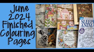 May 2024 Finished Adult Colouring Pages Adult Colouring Adult Coloring