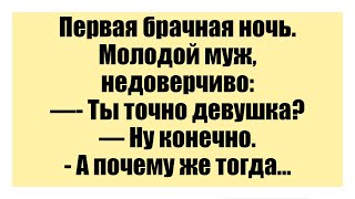 Первая брачная ночь. Молодой муж, недоверчиво - Смешные анекдоты