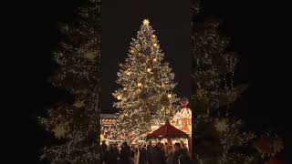 【Christmas Market Trip, Dresden | Germany】ドイツ、ドレスデンのクリスマスマーケットを巡る旅2024 #germany #dresden #christmas