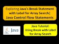 Exploring Java's Break Statement with Label for Array Search| Java Control Flow Statements