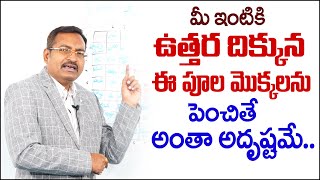 Vastu for Trees in Home | Vastu Shastra | మీ ఇంటికి ఉత్తరం దిక్కున ఈ పూల మొక్కలను పెంచితే అదృష్టమే..