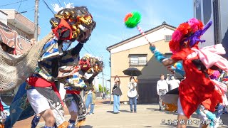 新湊 三日曽根横町の獅子舞 2024年 公民館前～神社 / SHOKUDO旬 / 富山県射水市