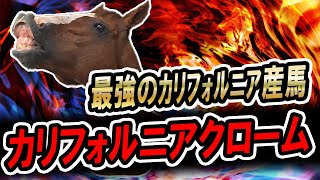 【海外競馬】最強馬が日本にやってきた！ カリフォルニアクローム【名馬】