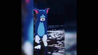 Valka nadagama (Tom and Jerry version)