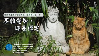 不離覺知，即是禪定，大手印祖傳秘方！【化育│總編雲書房podcast】帕秋仁波切《禪定之王》聞思修分享（中）