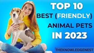 Perfect Companion: Discovering the Top 10 Best and Friendly Animals as Pets in 2023 #pets #petlover