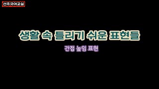 생활 속 틀리기 쉬운 표현들(간접 높임 표현)