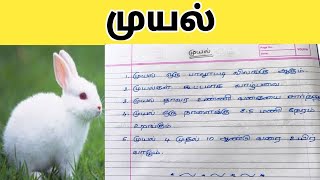 5 lines essay about RABBIT in TAMIL |  5 வரிகளில் முயல்🐰 தமிழ் கட்டுரை || முயல் தமிழ் கட்டுரை