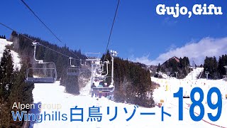 [ゲレンデ]アルペン　ウイングヒルズ白鳥リゾート（岐阜県郡上市）/[ski slope]Winghills Shirotori resort, Gujyo-city Gifu-pref.