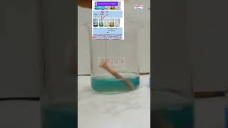 Displacement Reaction // Activity 3.12 Class 10 // Activity 4.8 Class 8 #shorts #anjus_science