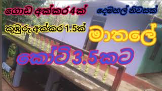 මාතලෙන් අක්කර 5.5ක්