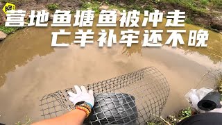 【Eng sub】房车营地雨季来临，泉水鱼塘水位急速上涨，这塘里还有没跑的鱼么