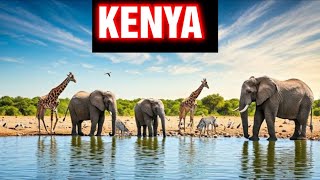 Kenya Safari: An Unforgettable Journey Through African Wilderness