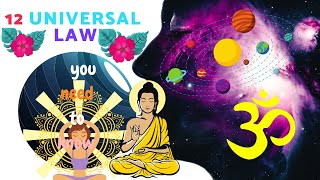 12 laws of the universe explained | universal laws | MANIFESTO WORLD