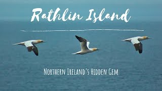 Rathlin Island | Northern Ireland's Hidden Gem