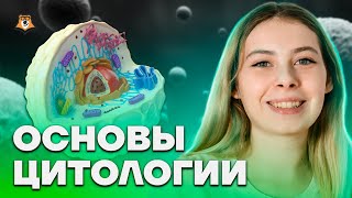 Основы цитологии | Биология ЕГЭ 10 класс | Умскул