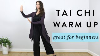 Tai Chi Warm Ups for Beginners | Dr Paul Lam