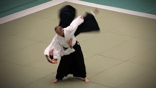 Aikikai Aikido - Isoyama Toshihiro Shihan - 54th All Japan Aikido Demonstration (2016)