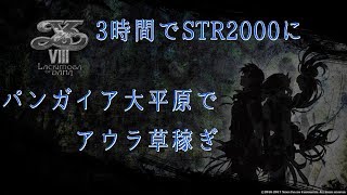 [PS4] [解説] イースVIII クリア後推奨。アウラ草稼ぎ。3時間でSTR2000に出来ます。