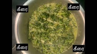 முளைக்கீரை வதக்கி வைப்போம் வாங்கோ வாங்கோ🌱🌱🌱🌱🌱