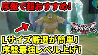 【ドラクエモンスターズ3】序盤で超簡単！最強レベル上げ！Lサイズ厳選も楽々！【DQM3おすすめ追加コンテンツ】