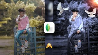 Snapseed Grey And Bird Effect Photo Editing Tricks 🔥 | Snapseed Background Colour Change Tutorial